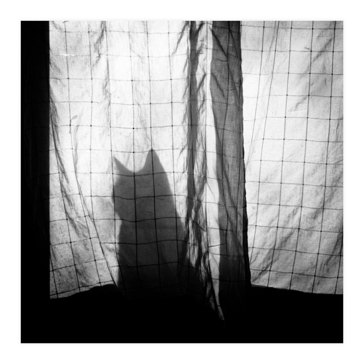 Mr. Wallace (Print Only)