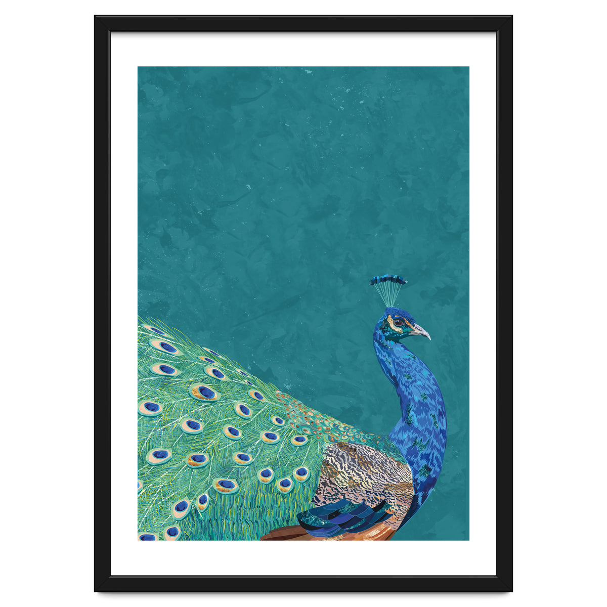 Perfect Peacock Turquoise Portrait