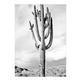 Loner (Print Only) thumbnail