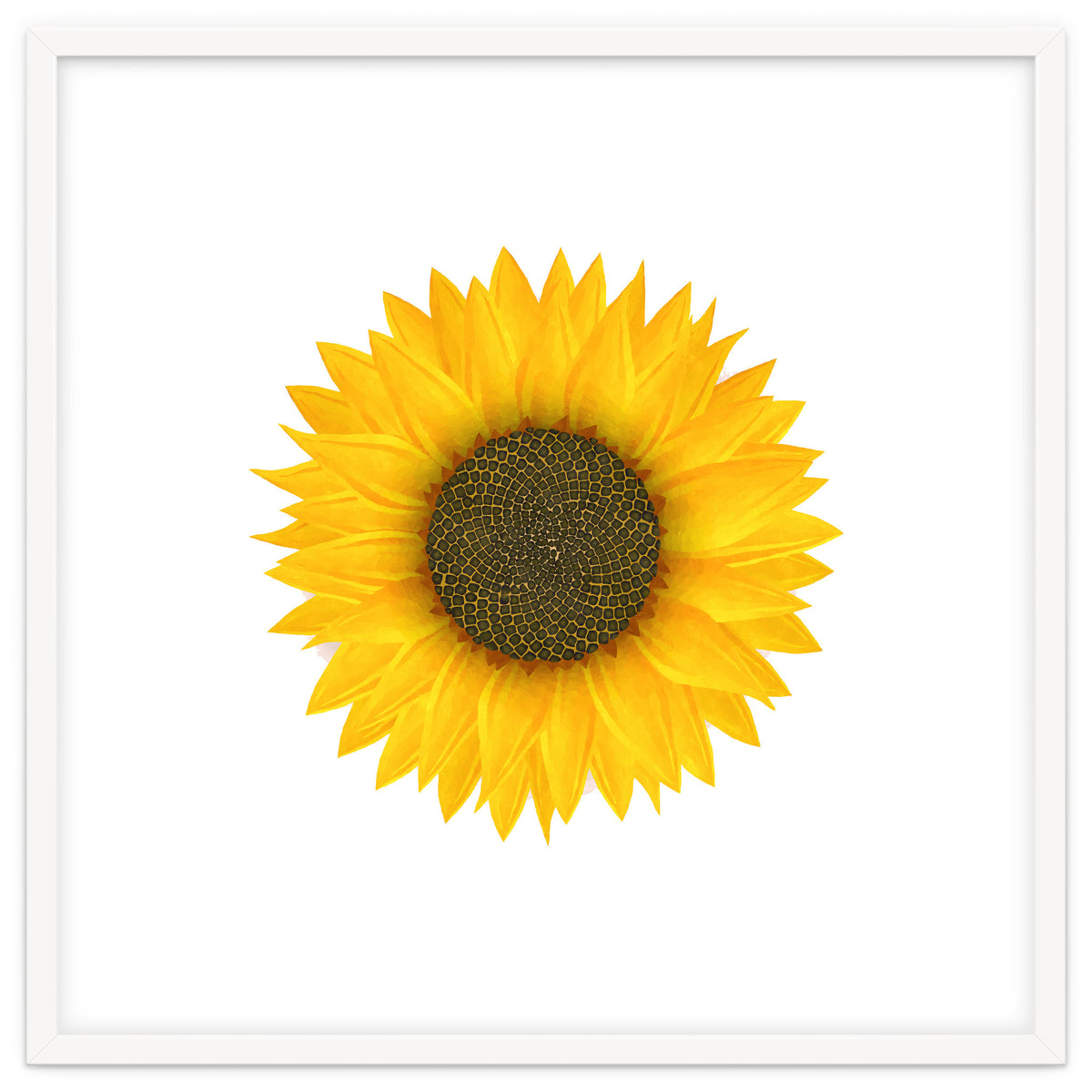 Watercolor Sunflower