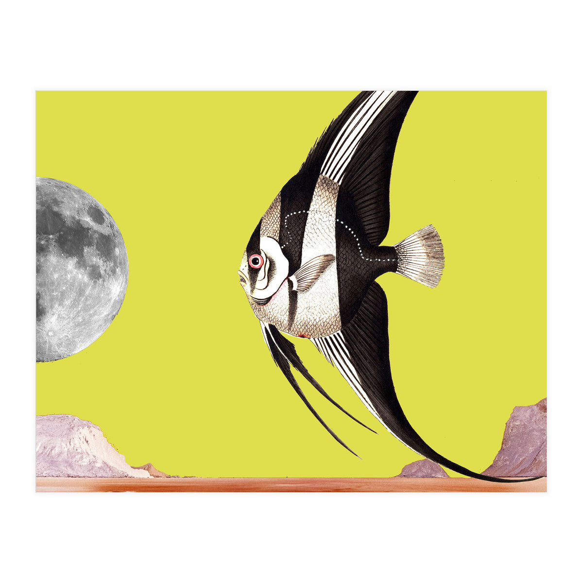 Plenty of fish in the sea yellow (Print Only)