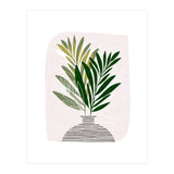 Olive Branches (Print Only) thumbnail