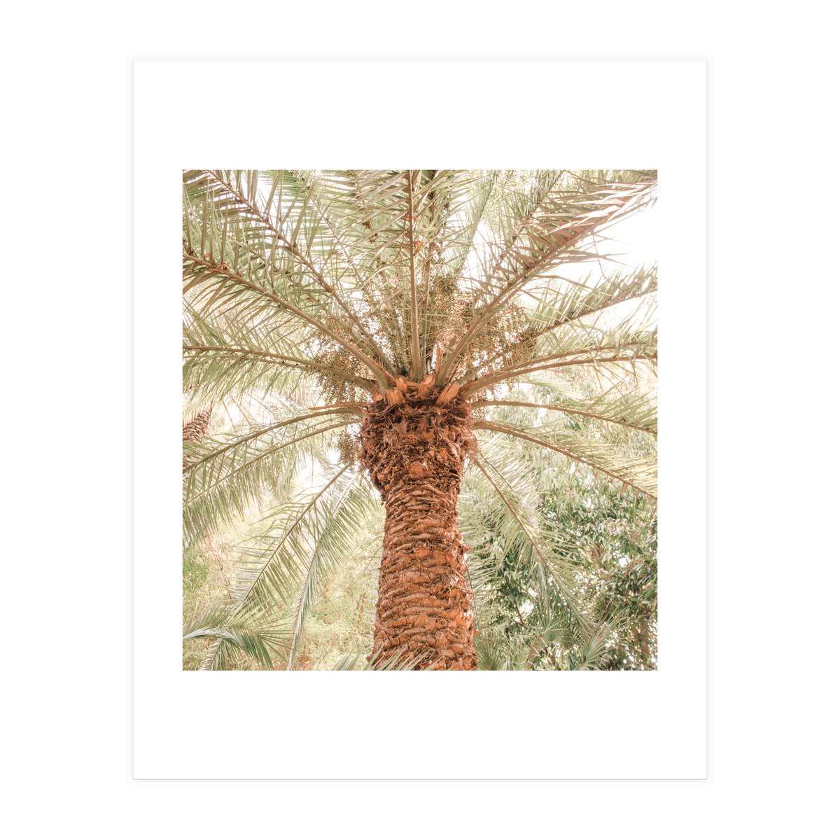 Tropical 2 (Print Only)