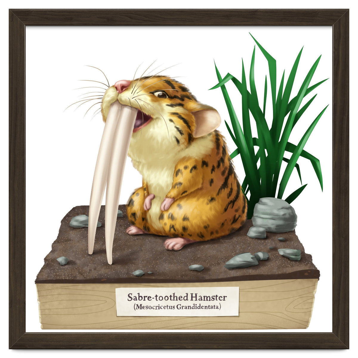 Saber-toothed Hamster