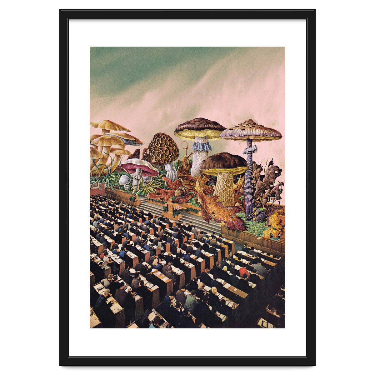 Psychedelic Experience