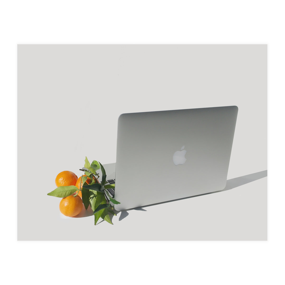 Fruit Salad (Print Only)