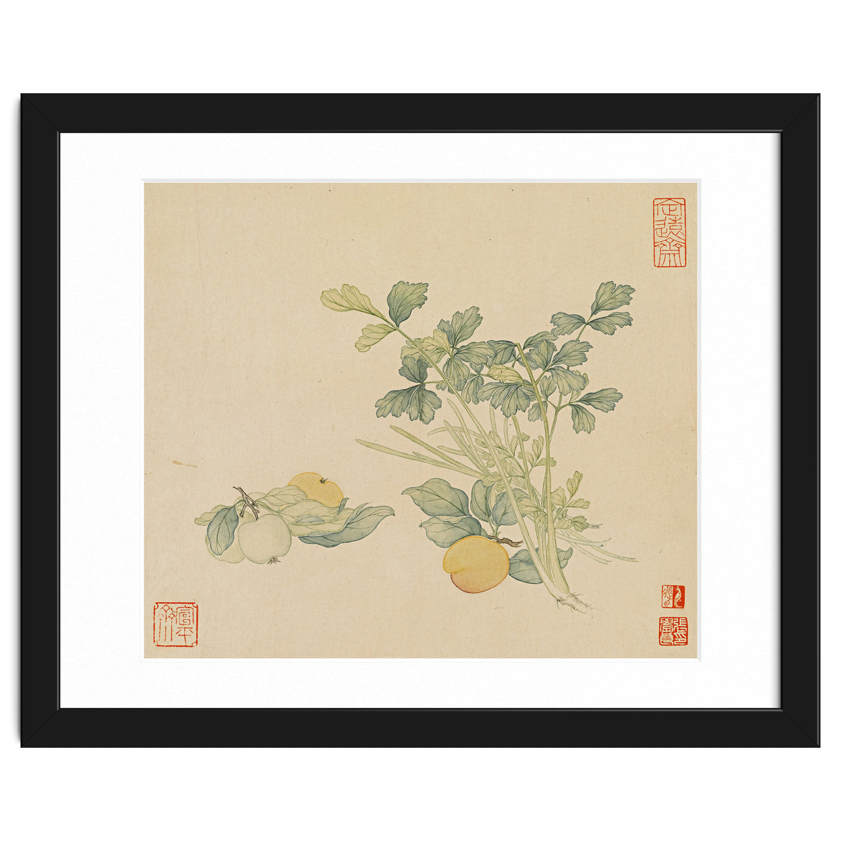 Wang Chengyu~flowers And Vegetables, Vegetables, Fruits, Plums, Apricots, Celery