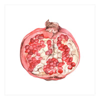 Pomegranate (Print Only)