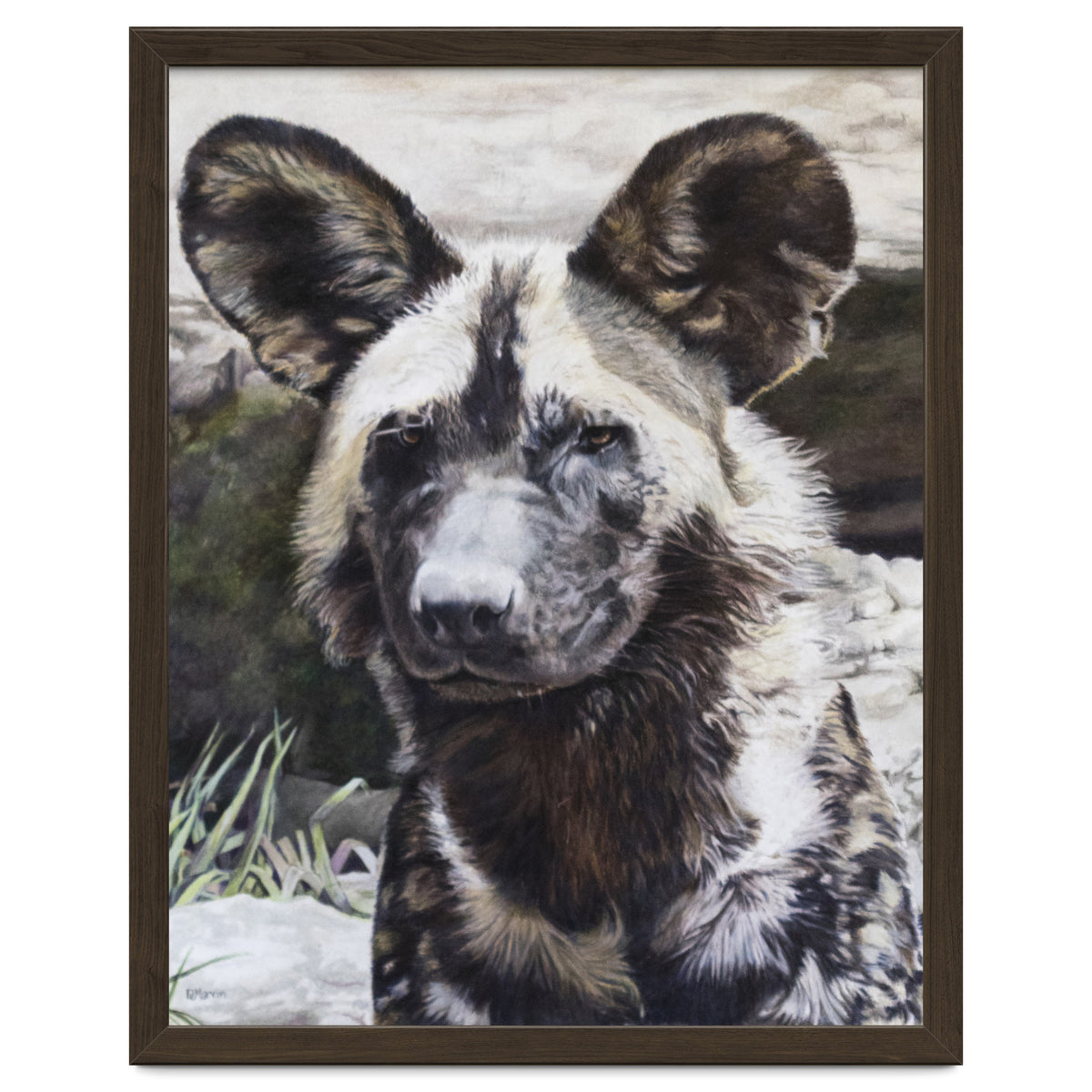 African Painted Dog II