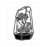 Terrarium  (Print Only) thumbnail