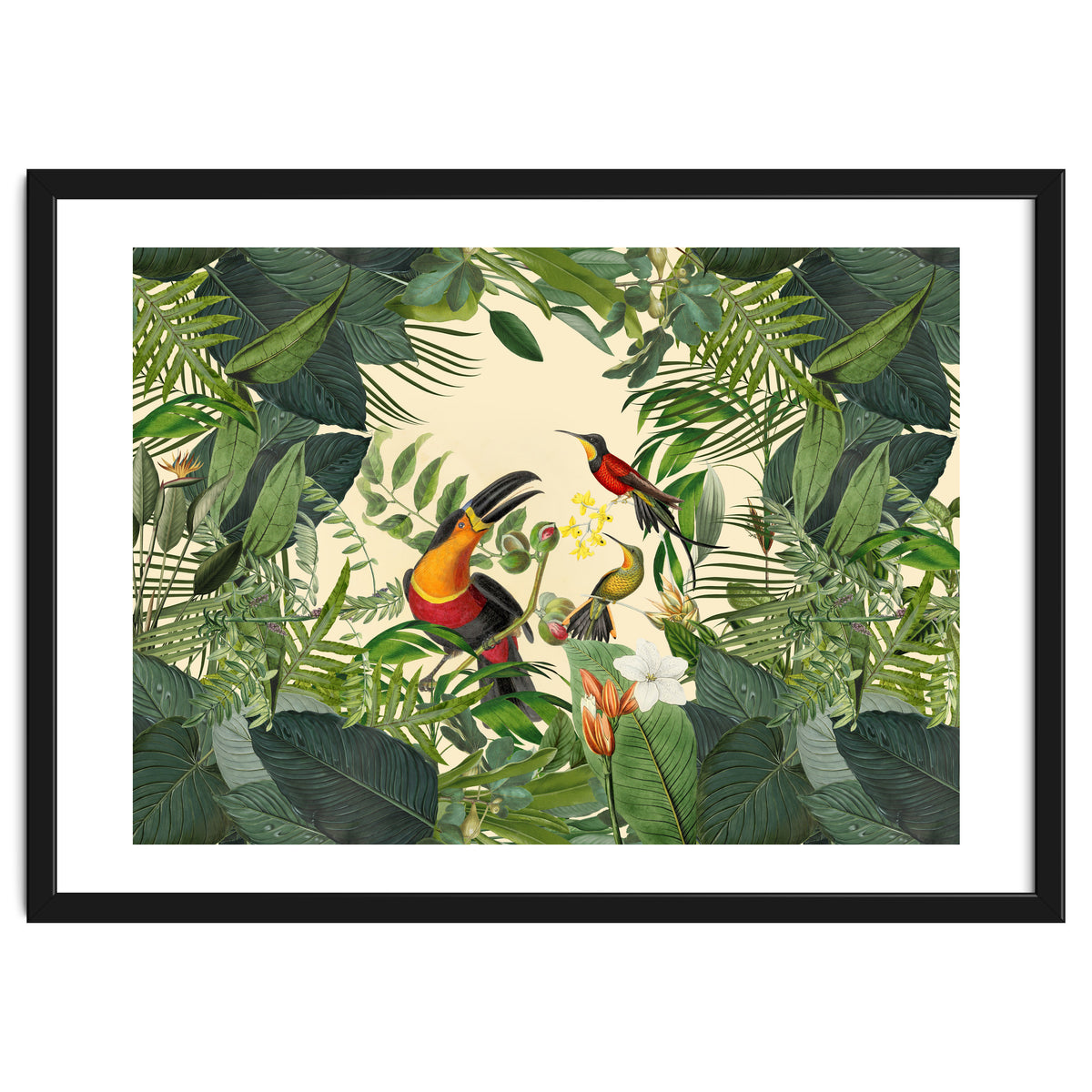 Green Jungle Toucans 2