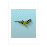 Flying lovebird (Print Only) thumbnail