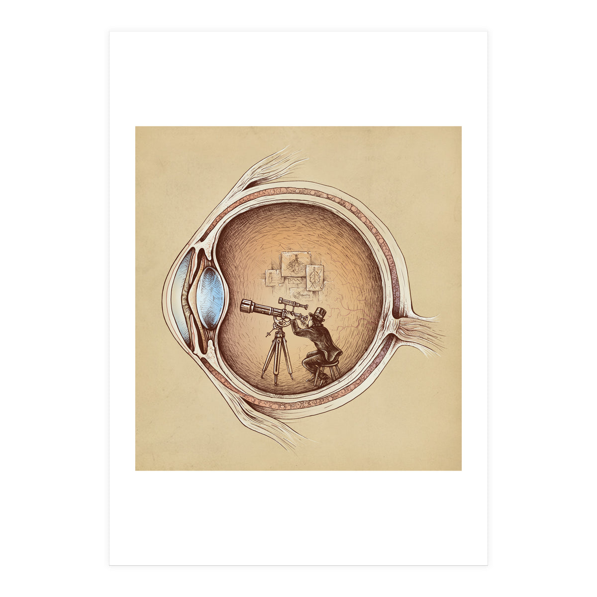 Extraordinary Observer (Print Only)