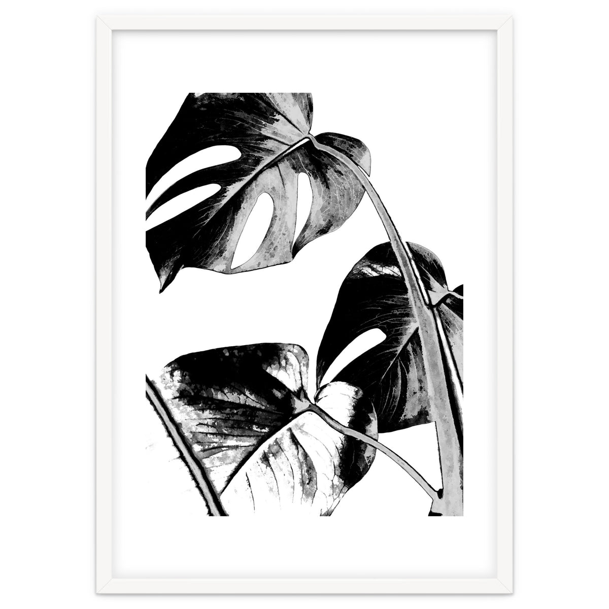Black Tropical Leaves