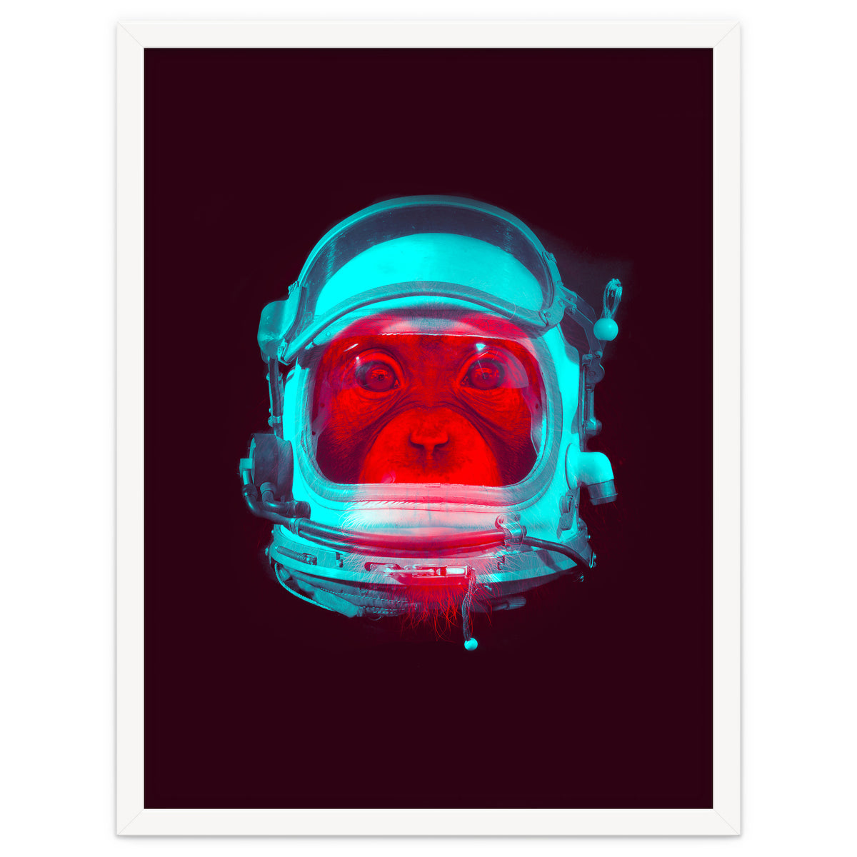 Astronaut