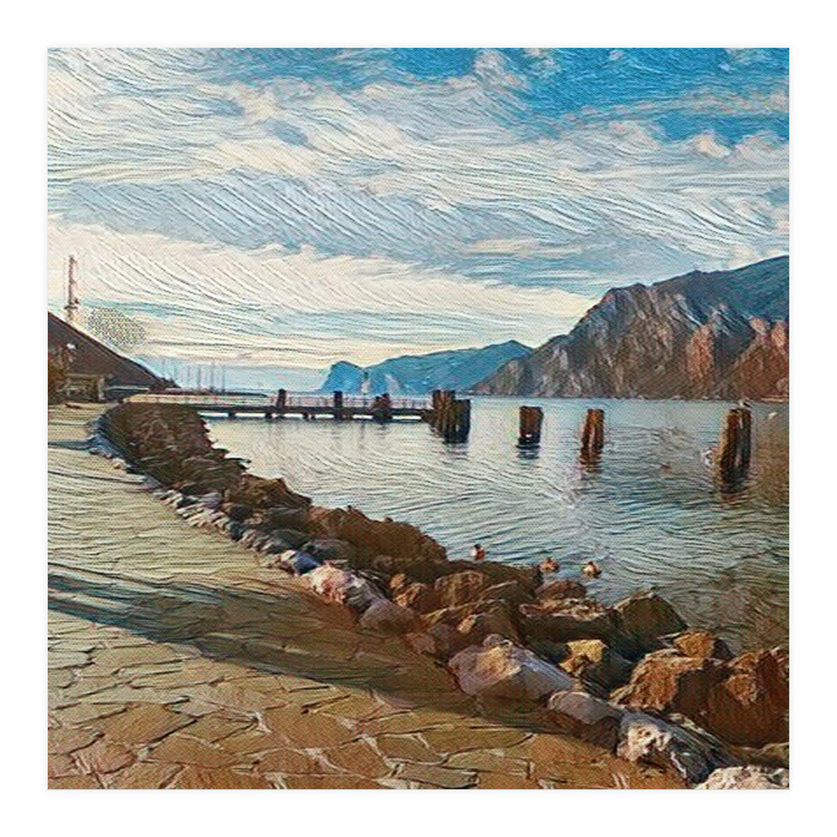 Ducks on Lake Garda, Italy. (Print Only)