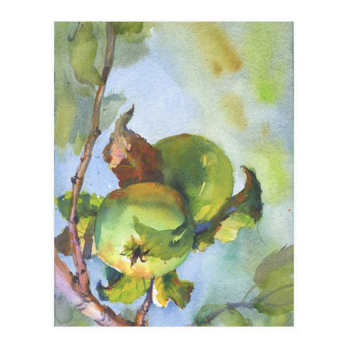Apples on a branch (Print Only)