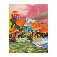 Mushroom Valley (Print Only)
