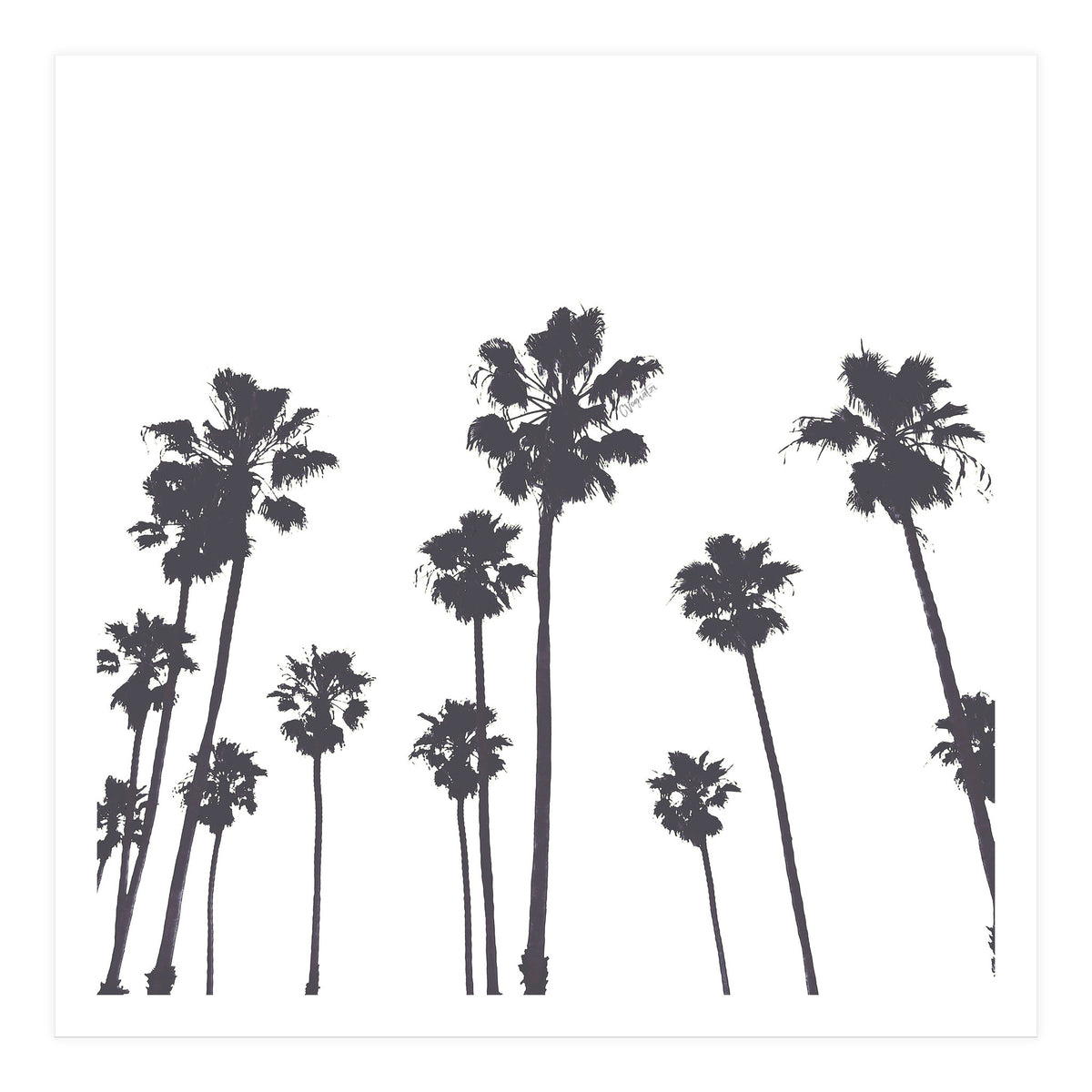 Palms & Sunset-Minimal B&W (Print Only)