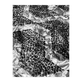 Sampa II (Print Only) thumbnail