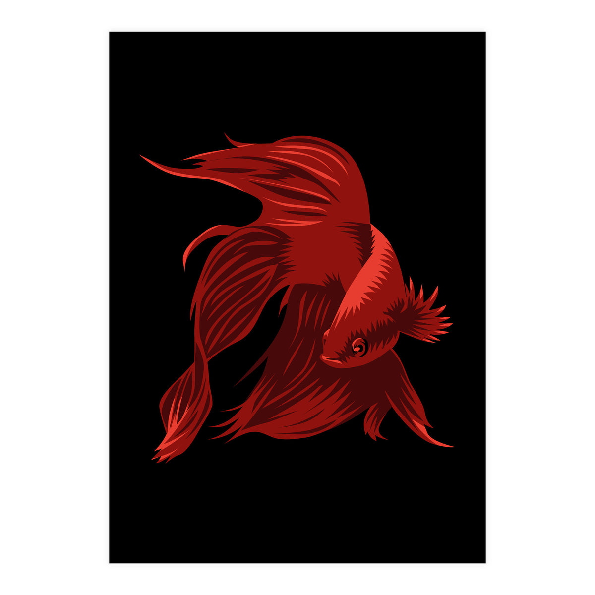 Betta (Print Only)
