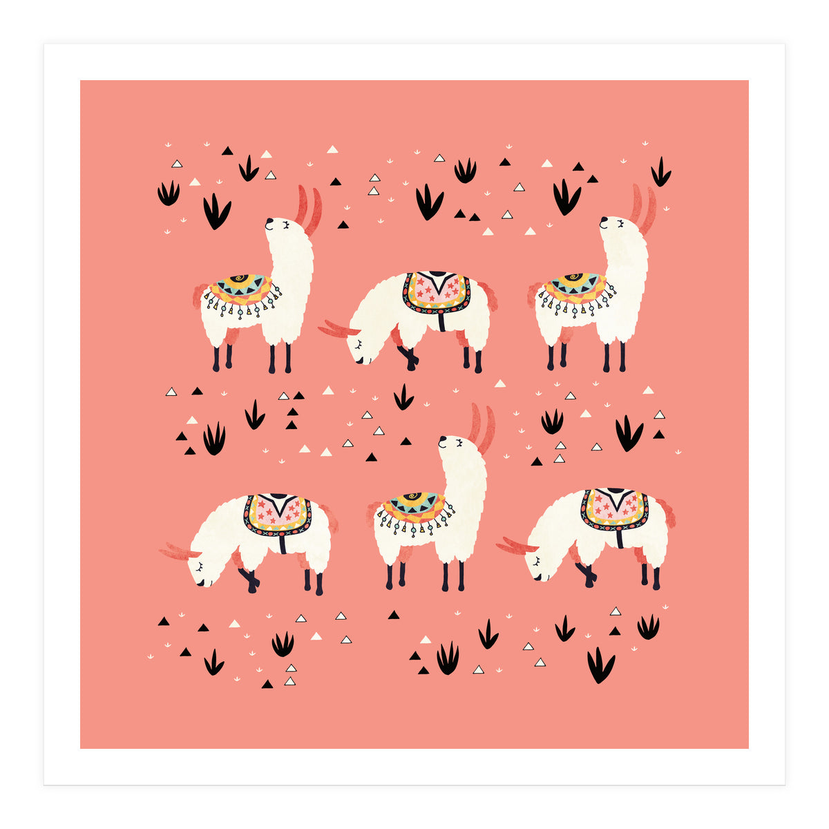 White Llamas In Pink Desert (Print Only)