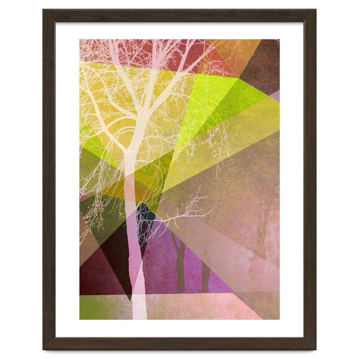 P22 Trees And Triangles