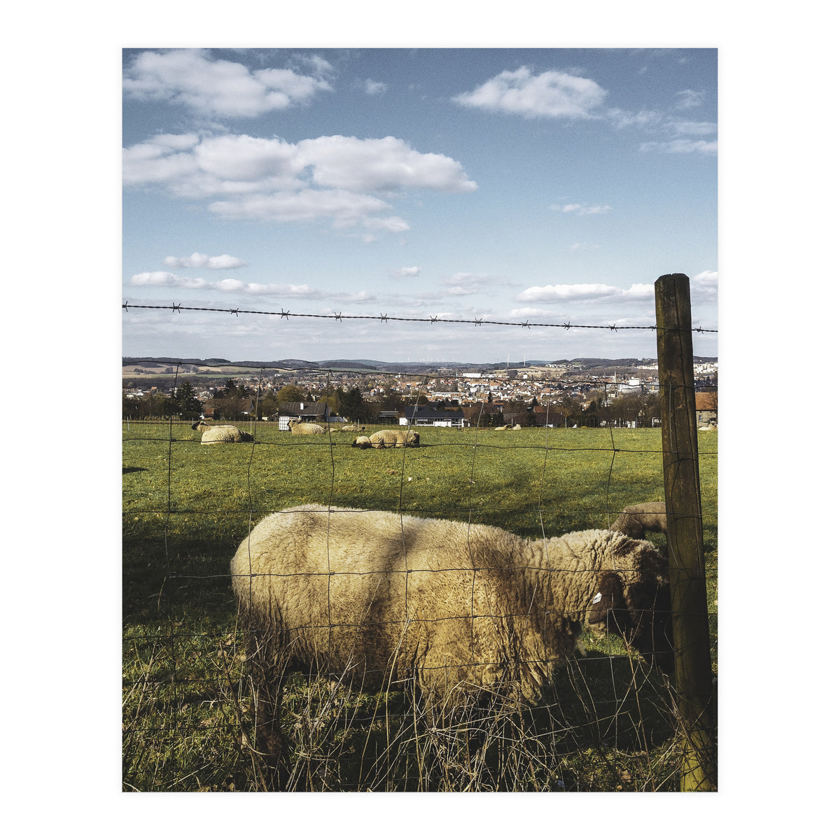 Bucolism 5 (Print Only)