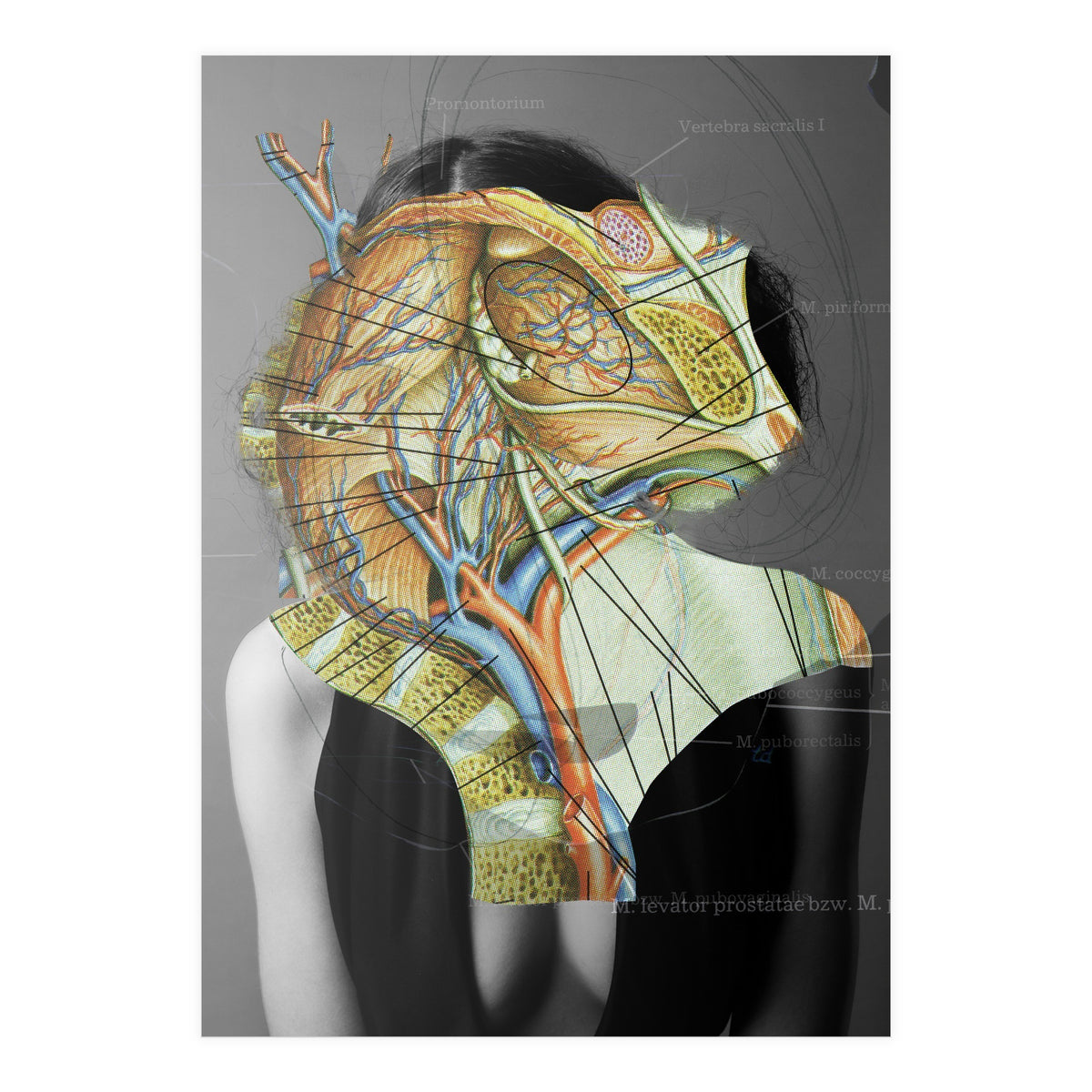 Crazy Woman 210 (Print Only)