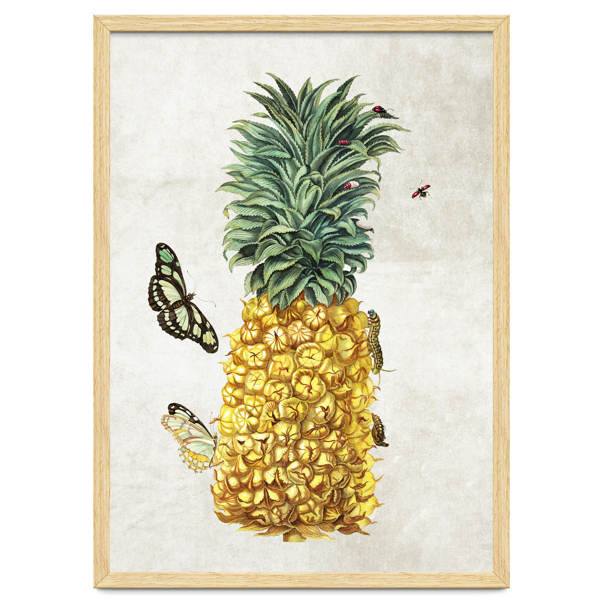 ananas