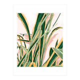 Blush Botanical Unfolding (Print Only) thumbnail