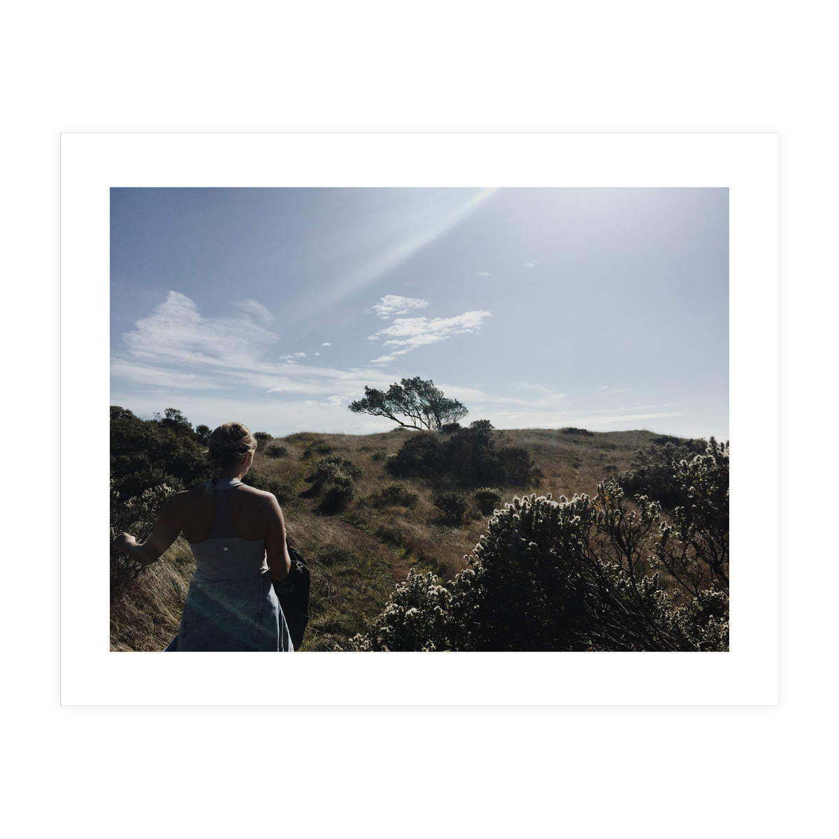 Mt. Tamalpais (Print Only)