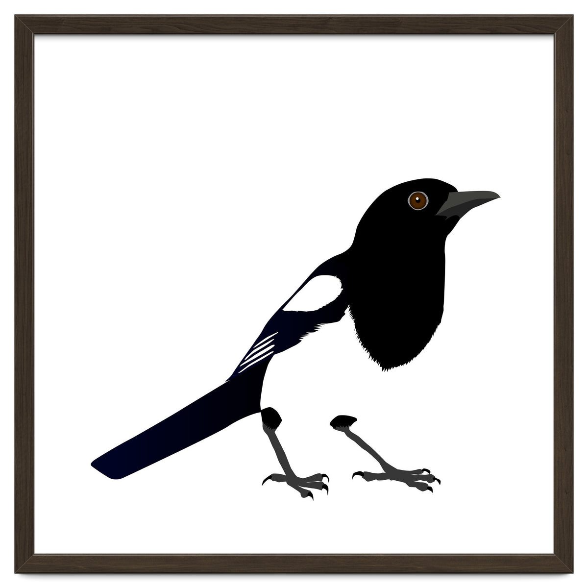 Magpie