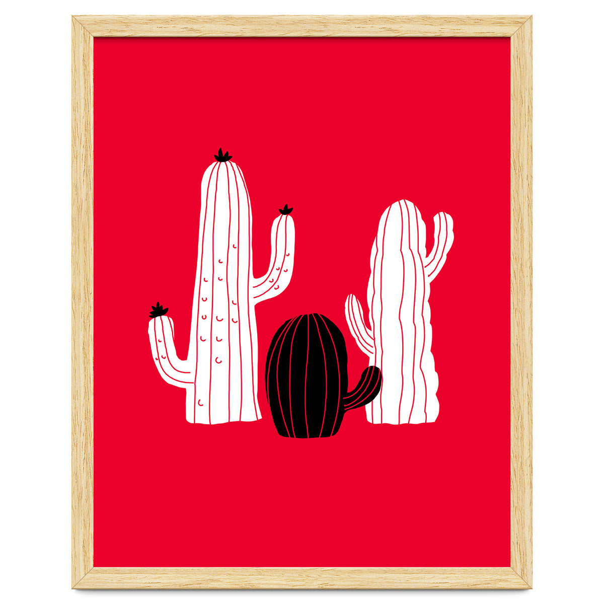 Cactus