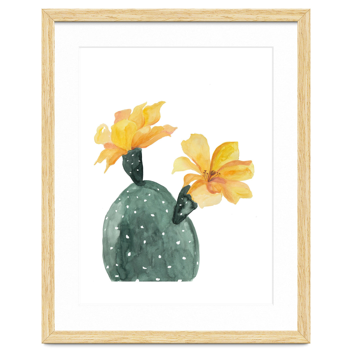 Botanical Illustration Yellow Cactus Flowers