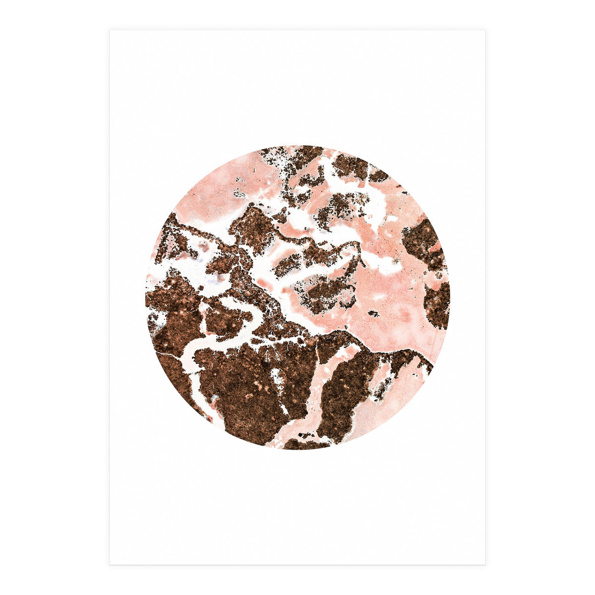 Blush And Bronze (Print Only)