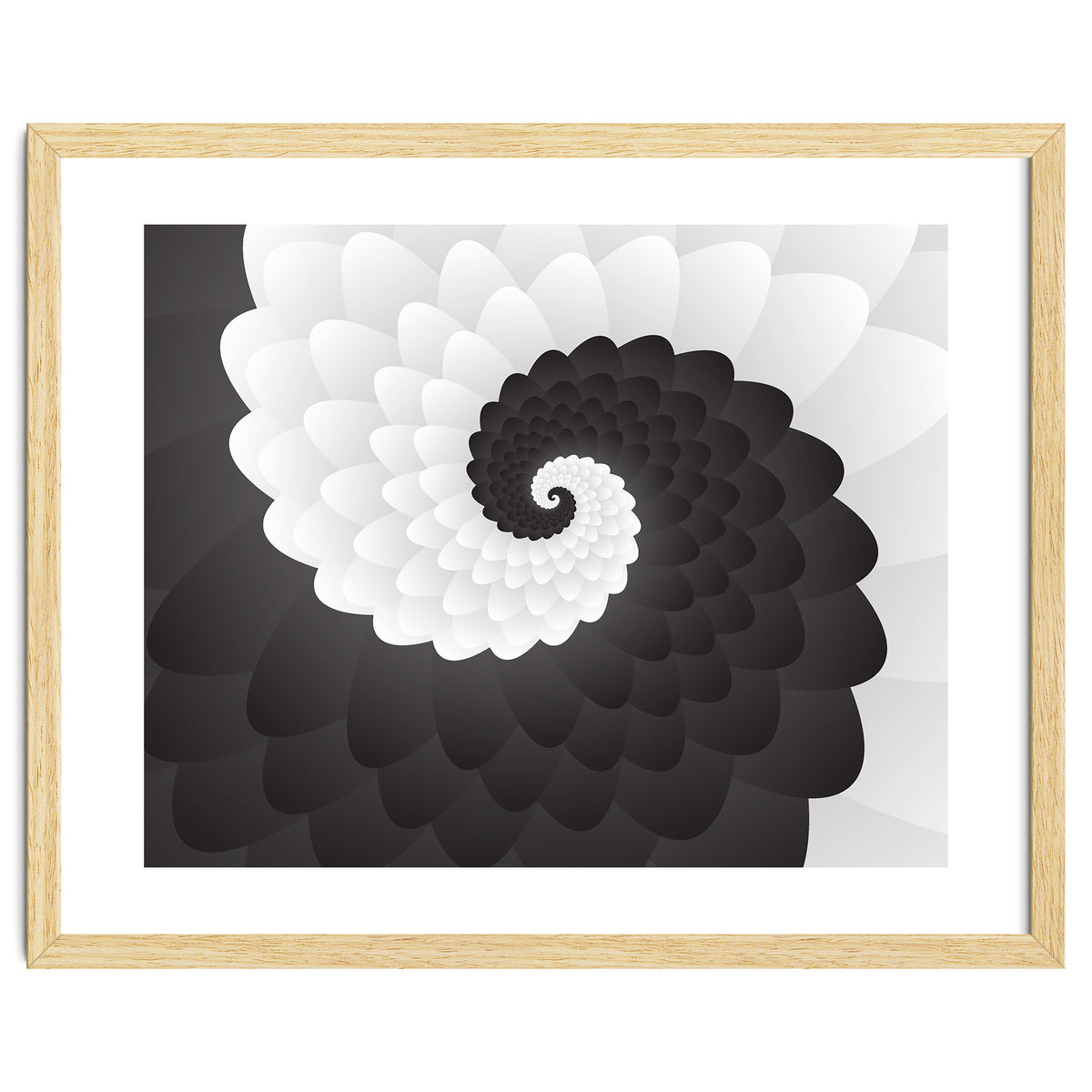 Mono Chrome Spiral Pattern