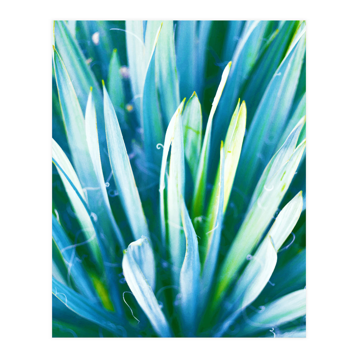 Heart Of Nature (Print Only)