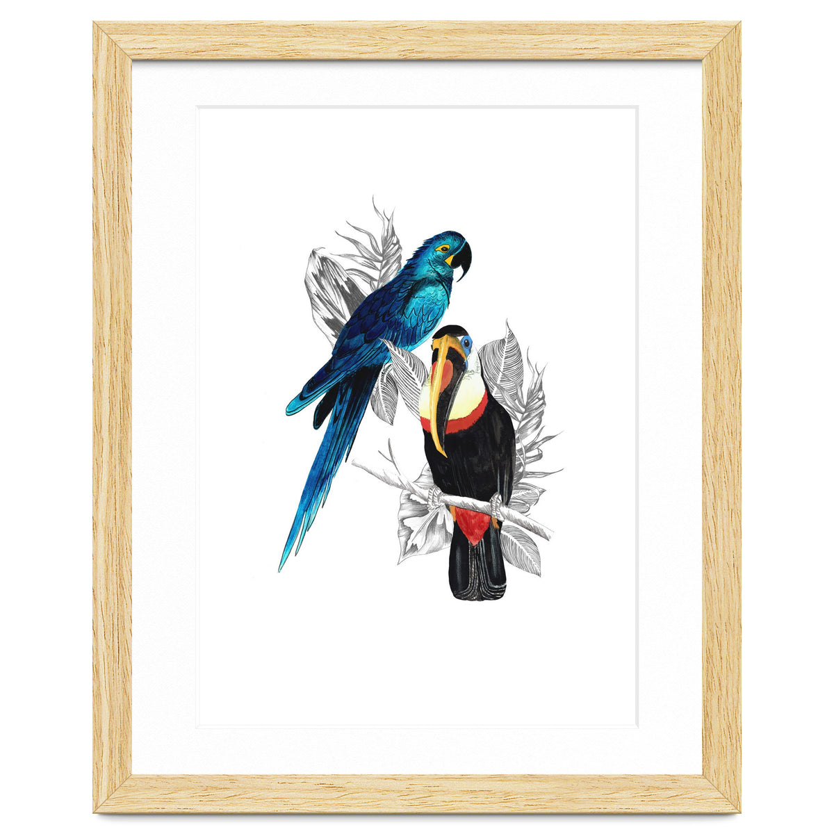 The Toucan and the Parrot