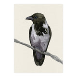Hooded crow watercolor (Print Only) thumbnail