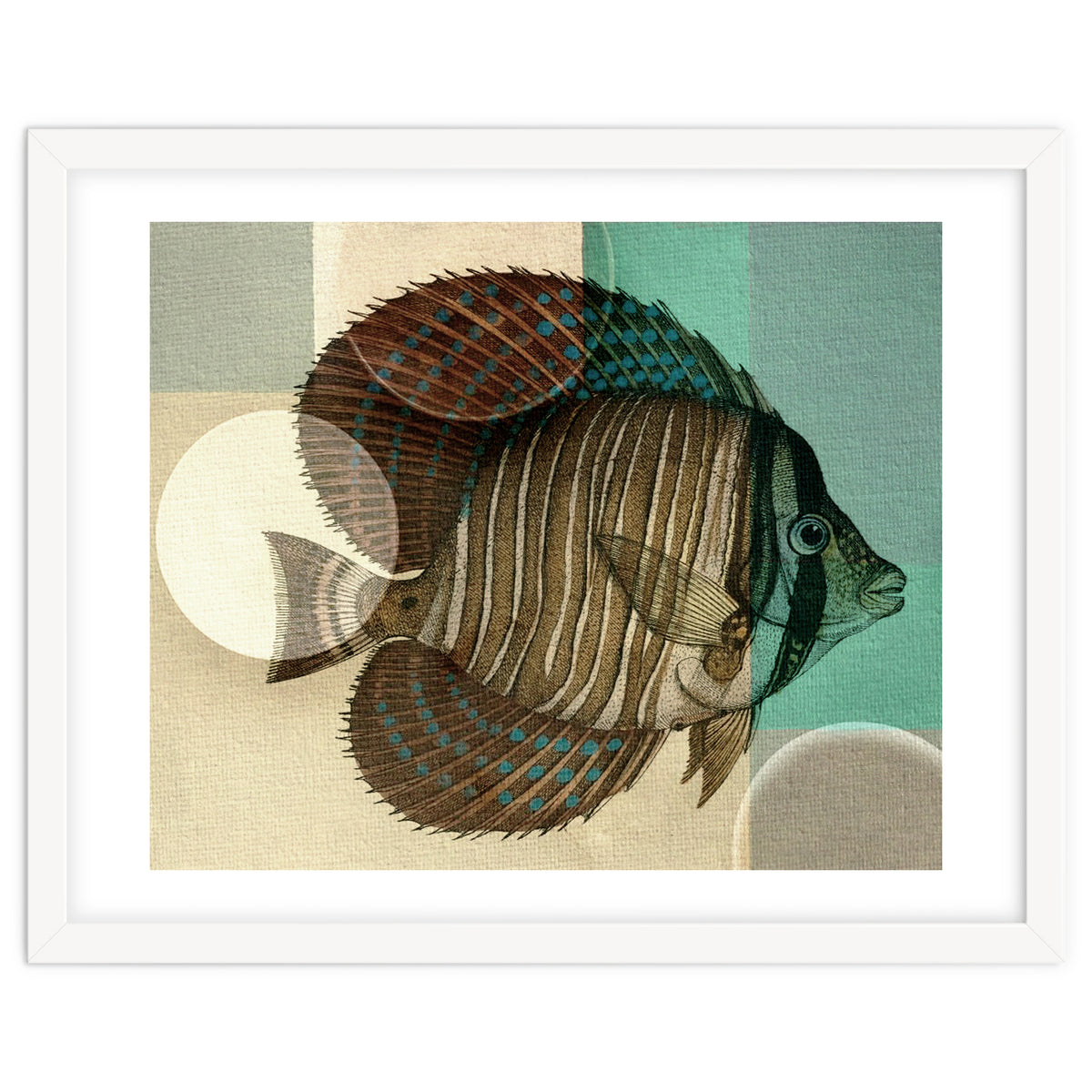 Fish Between Circles 4