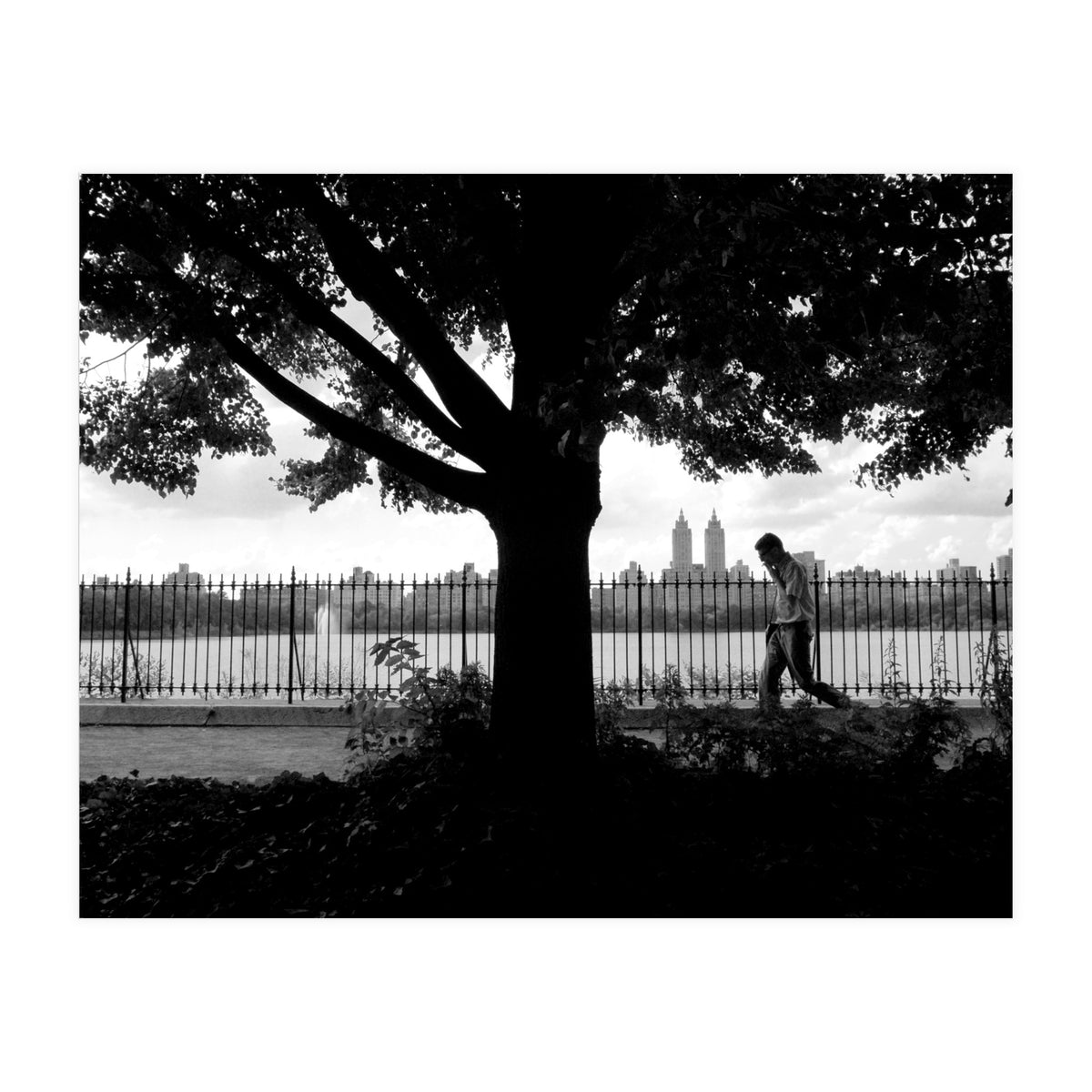 Central Park, New York City (Print Only)