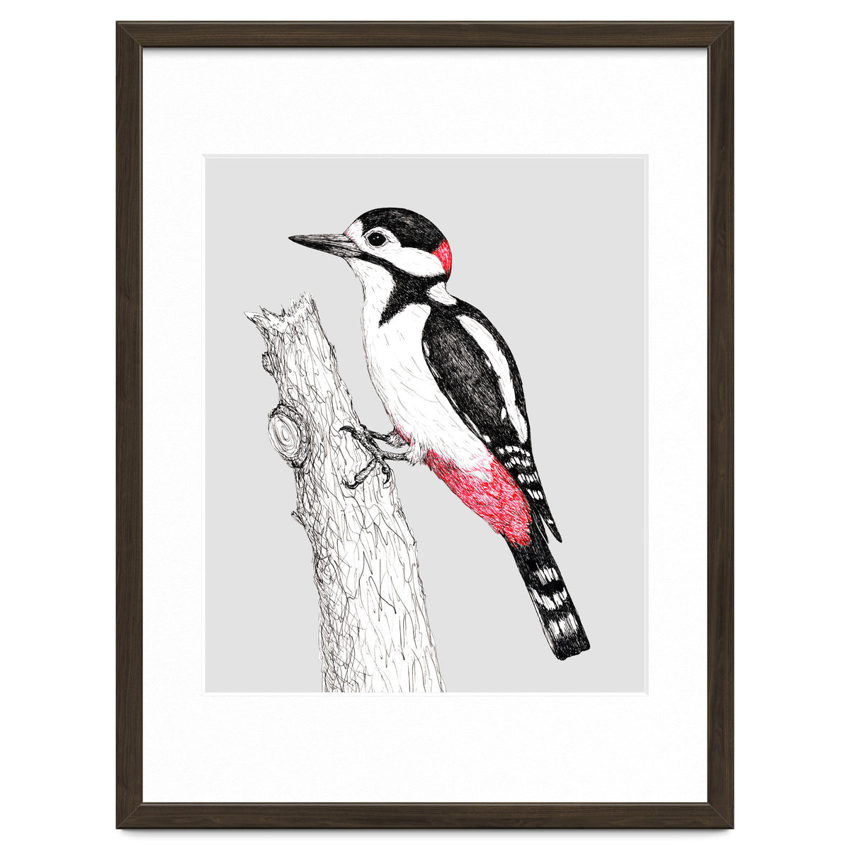 Great spotted woodpecker