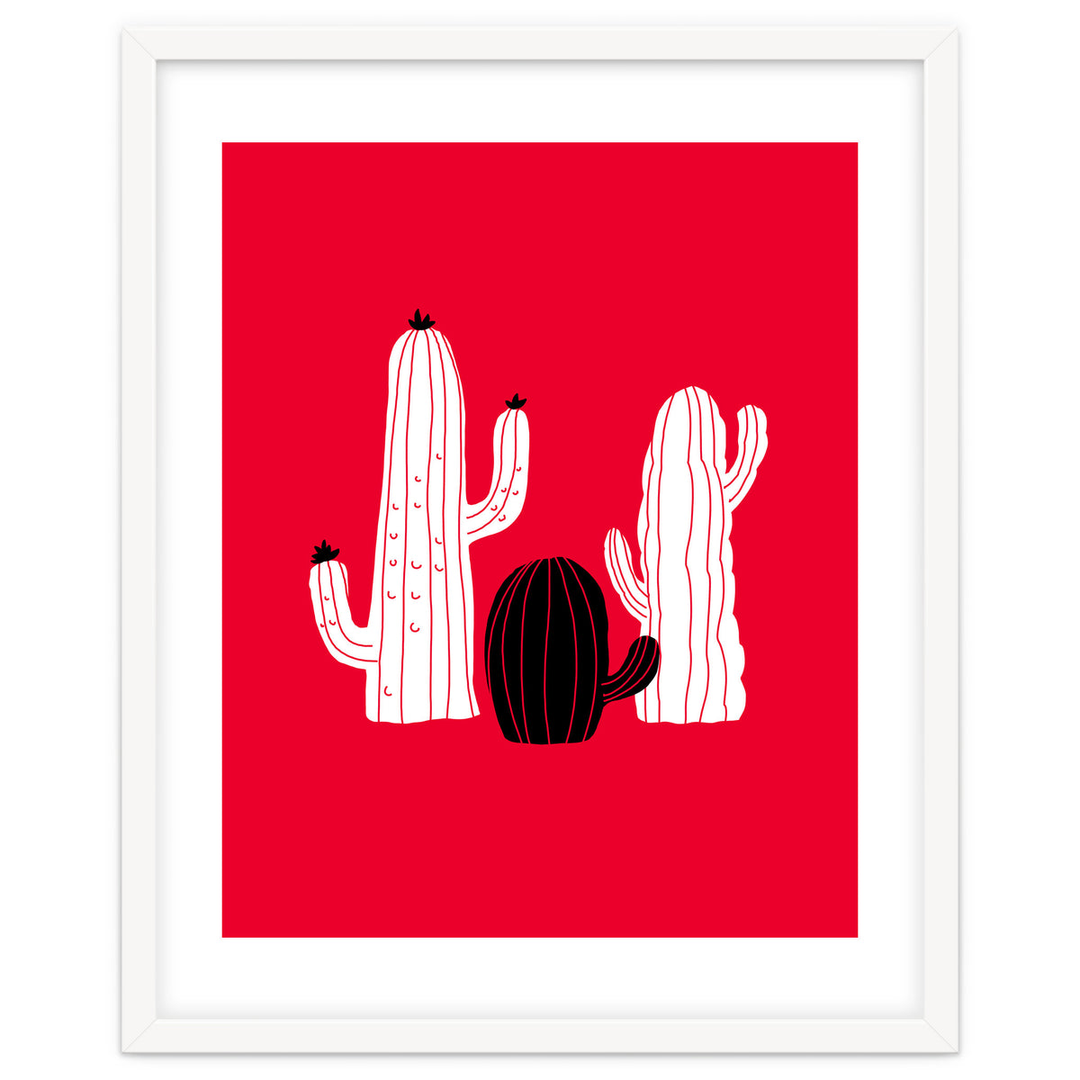 Cactus