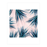 Pointy Palm (Print Only) thumbnail