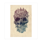 Skull Floral  (Print Only) thumbnail
