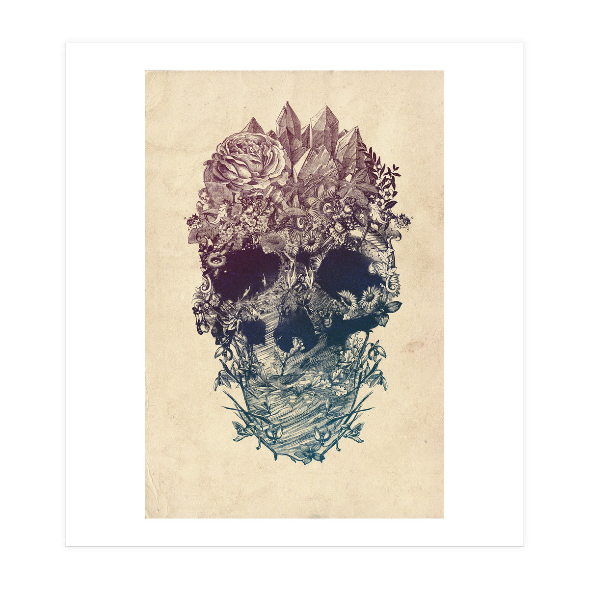Skull Floral  (Print Only)