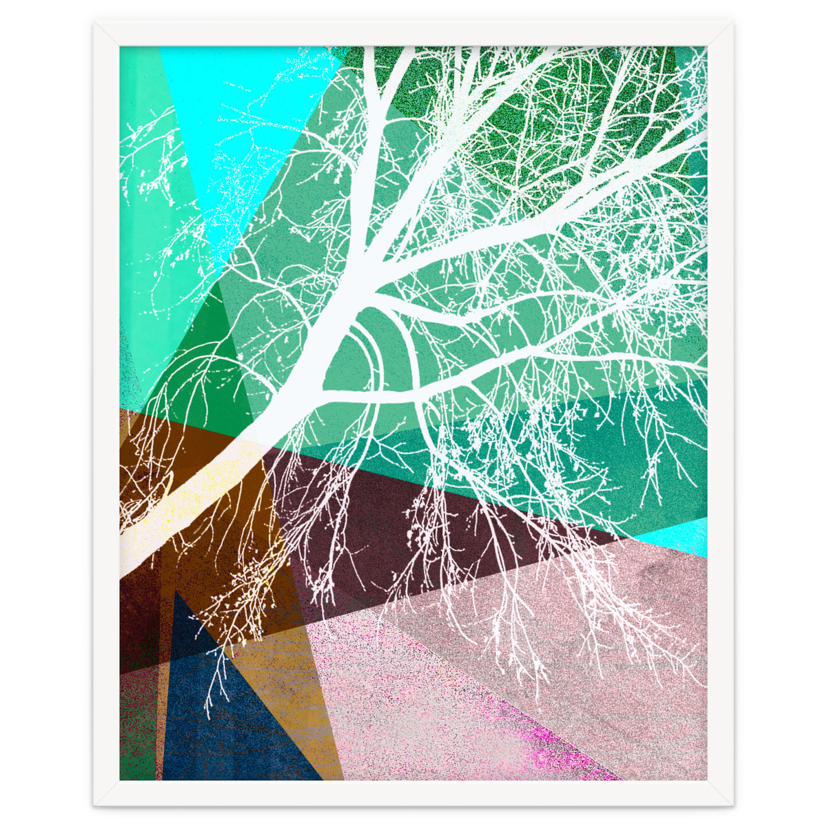 P16-H Trees And Triangles