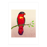 Purple-naped lory (Print Only) thumbnail