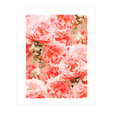 Fiona II (Print Only) thumbnail